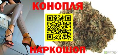 a pvp Аргун