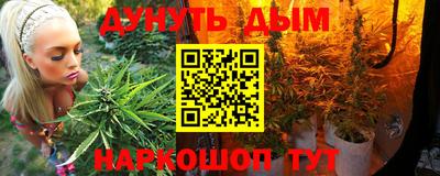 a pvp Аргун
