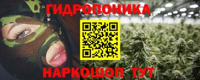 a pvp Аргун